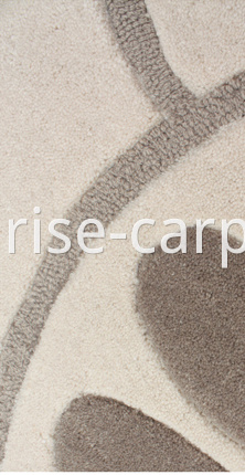 Novel Hand tufted Carpet